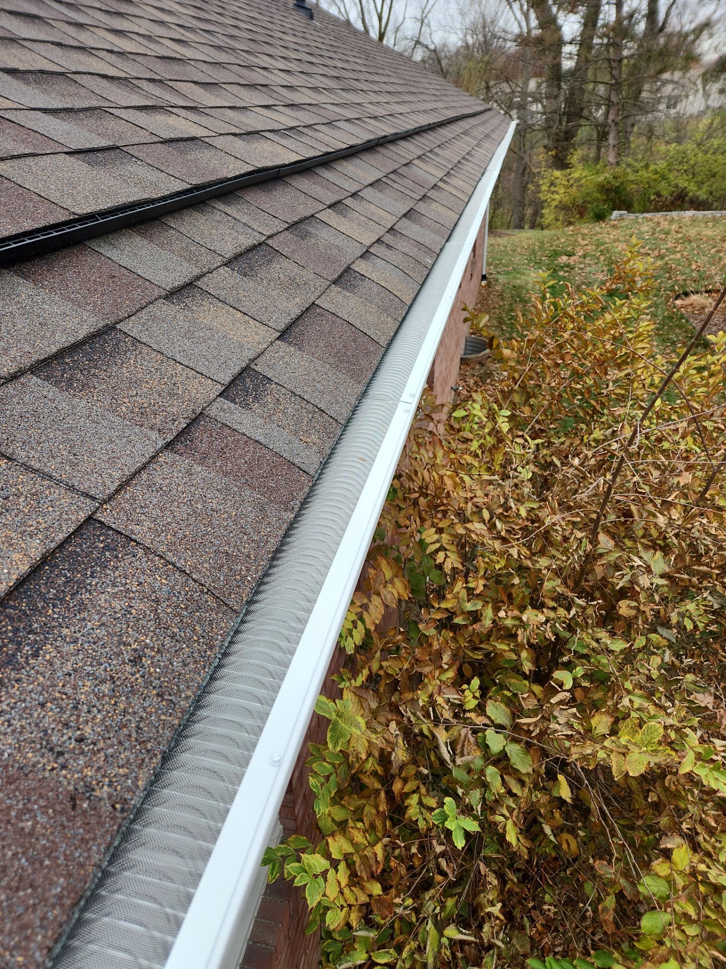 down-net_http20251126-259-yrez3c