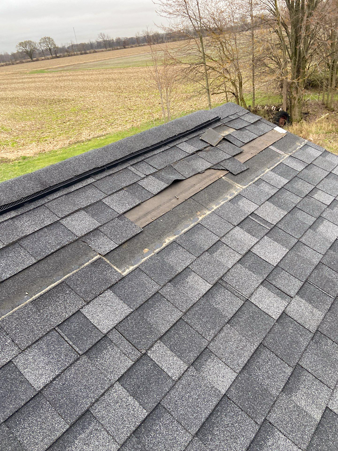 missing shingle - Integrity Home Exteriors - Roof - Siding - Windows - Gutters - Doors - Lawn Care