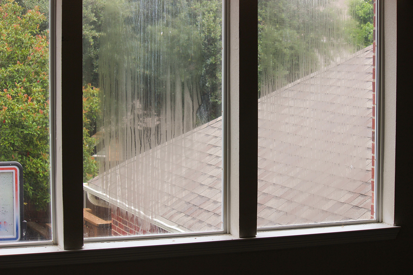 shutterstock_2304441061 - IHE - web