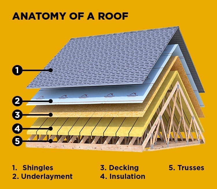 anatomy of a roof - the most important part of your roof