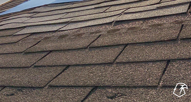 damaged asphalt shingle