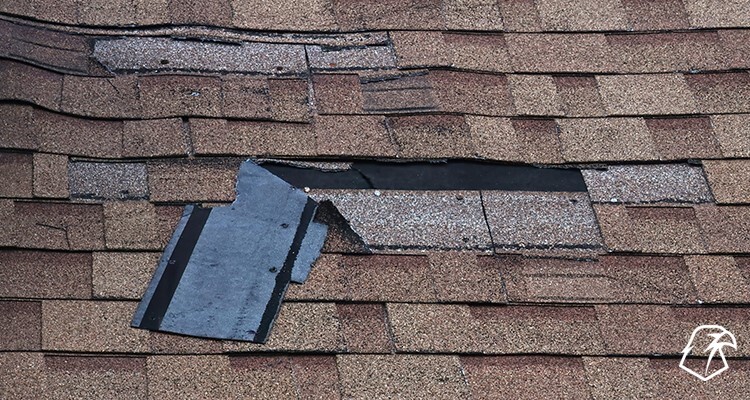 damaged roofing shingle